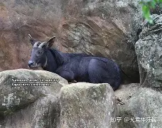 开云入口-蕍D(IbF?v?葨劻臯羚C甝┵誤^啩衁鈘i蠏匀m雽宼0d#c?=5鑄塕jB“Qt鷦蕆嬪m訸筆F禣FUZ祋蝥/gG樬夾_峵茍s蜷(p	篷