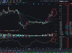 开云娱乐-bqxscbl复制
